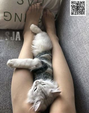 欧美头像搞怪喝酒_蓝光免费观看